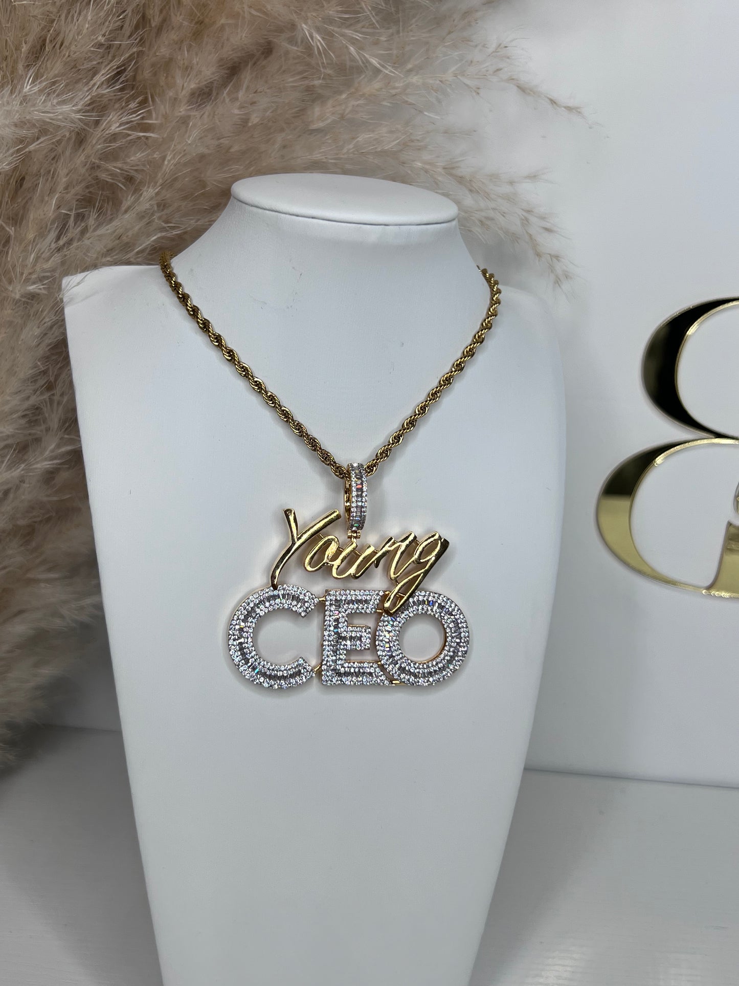 Young CEO